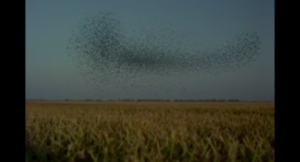 Picture-18-370x200