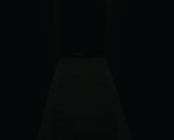 postermaraweb-248x200