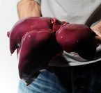 prt 1283362485-145x134